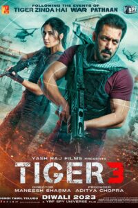 Poster for the movie "Tiger 3"